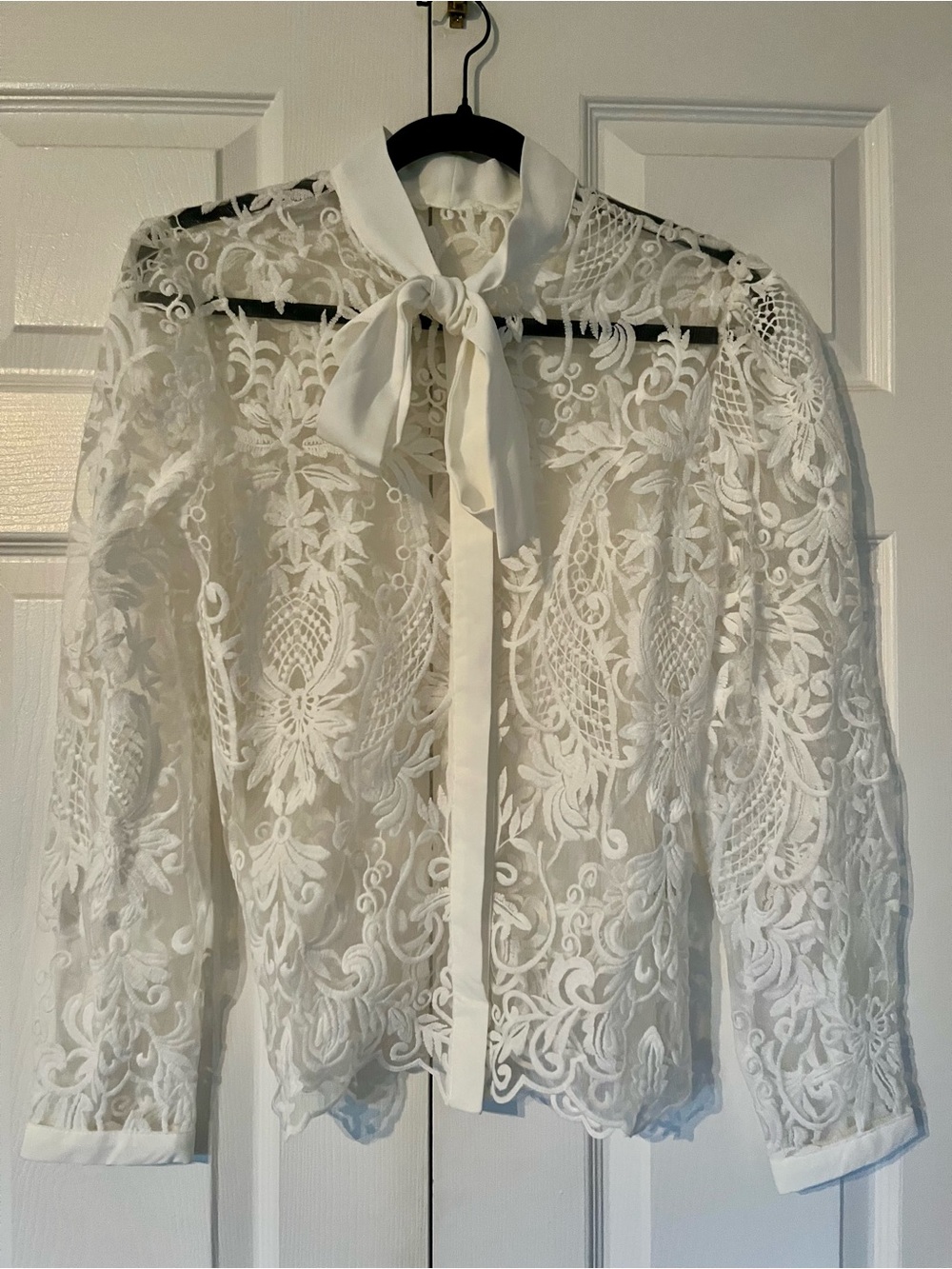 White Embroidered Lace Sheer Blouse with Bow Tie Neck